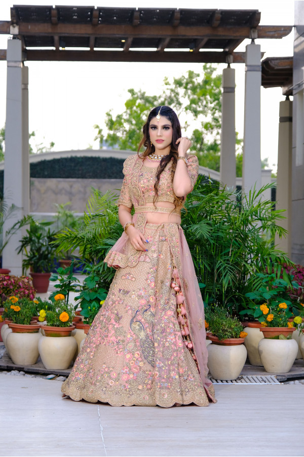 Peach  Lehenga on Rent